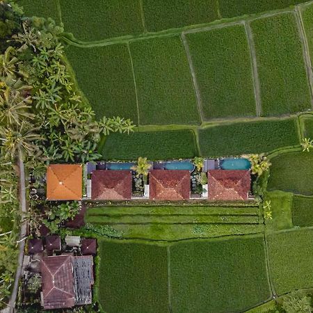 Airsania Ubud Antique Villas מראה חיצוני תמונה