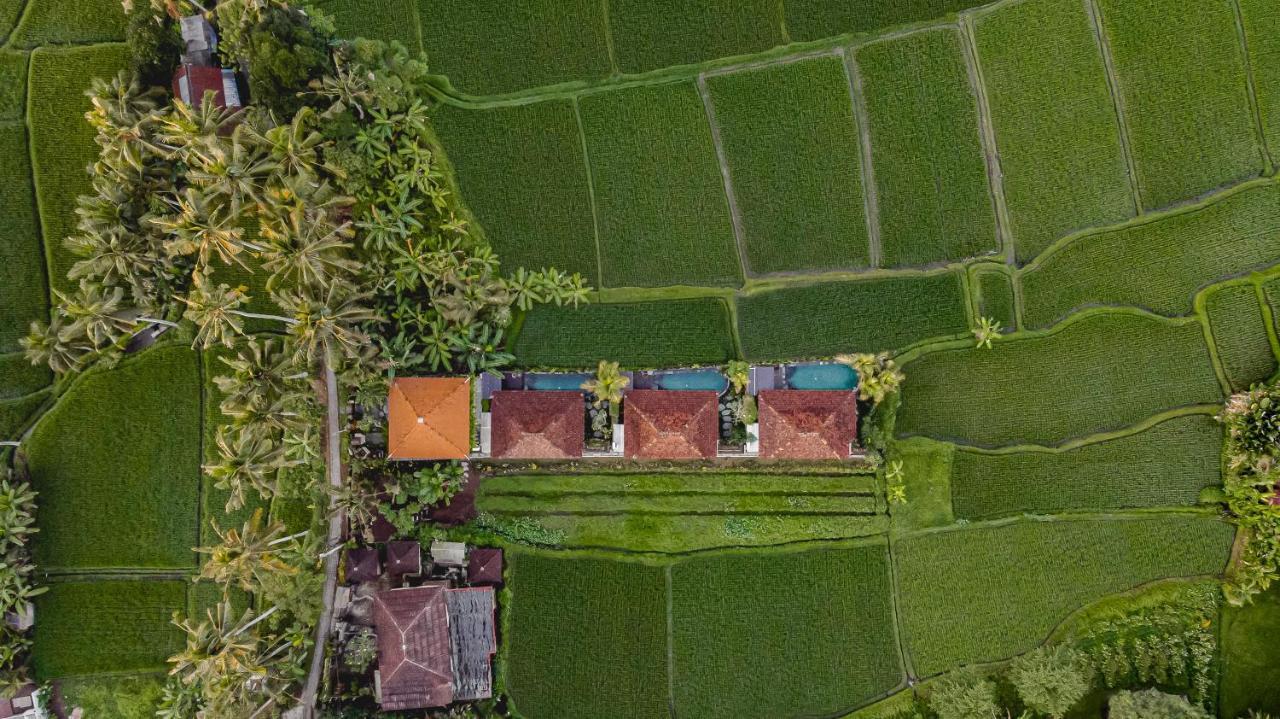 Airsania Ubud Antique Villas מראה חיצוני תמונה